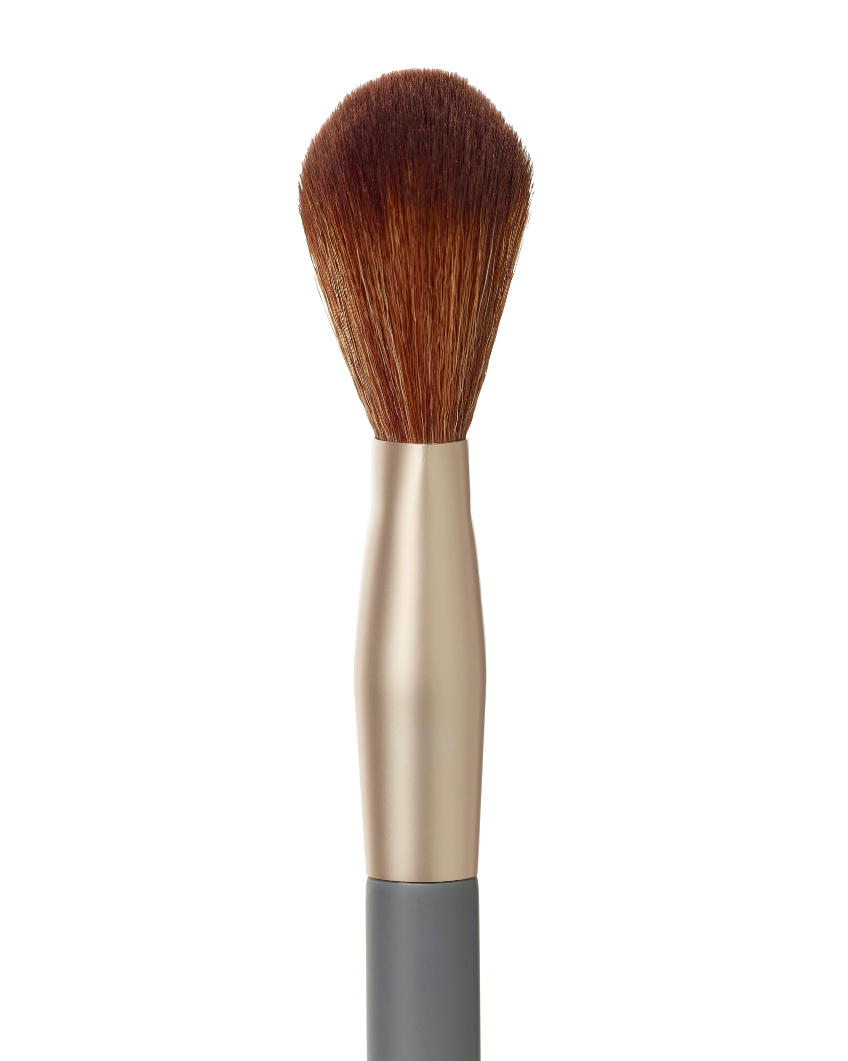 Powder Complexion Brush